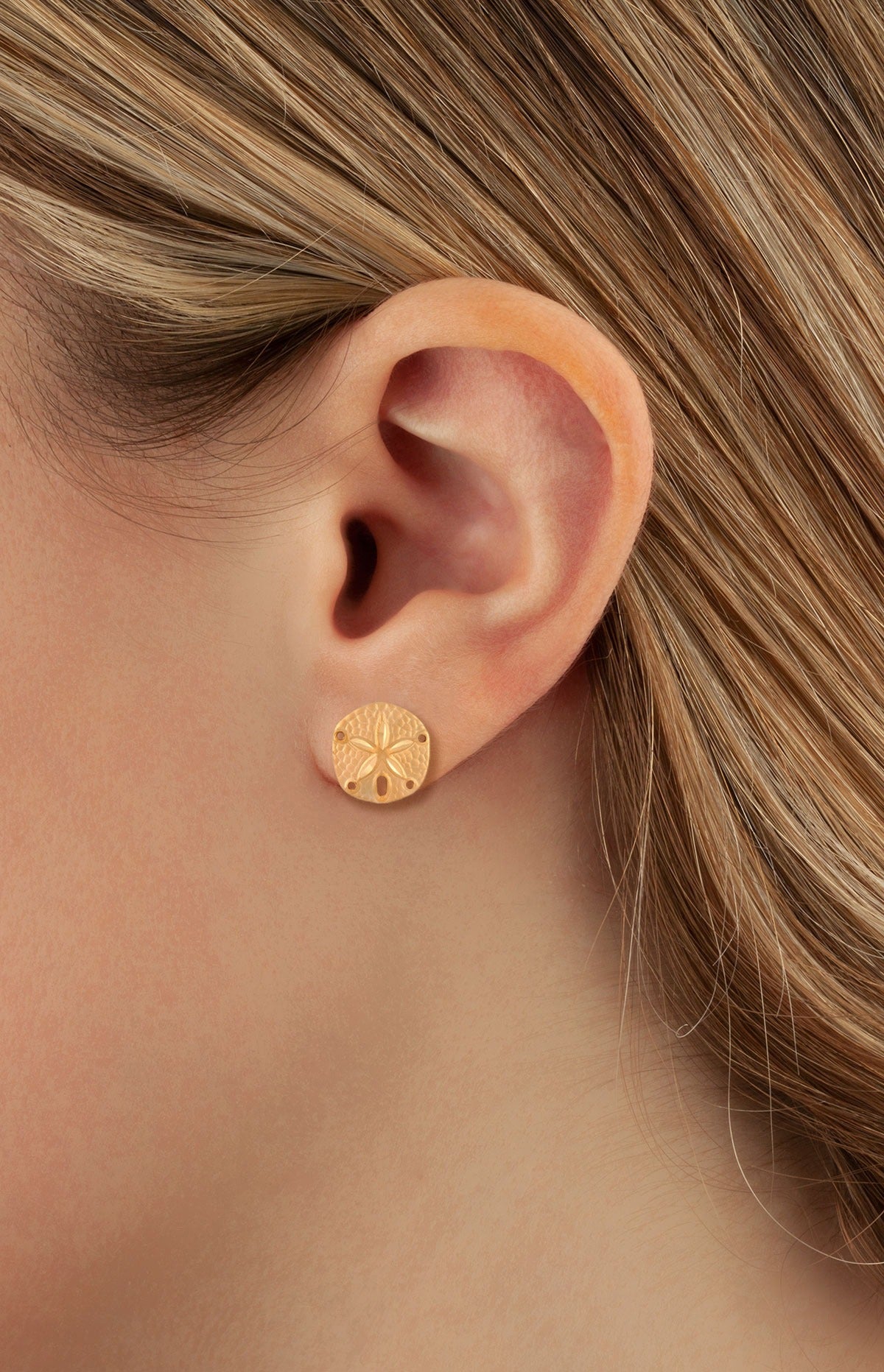 14kY Sand Dollar Earring 02/190