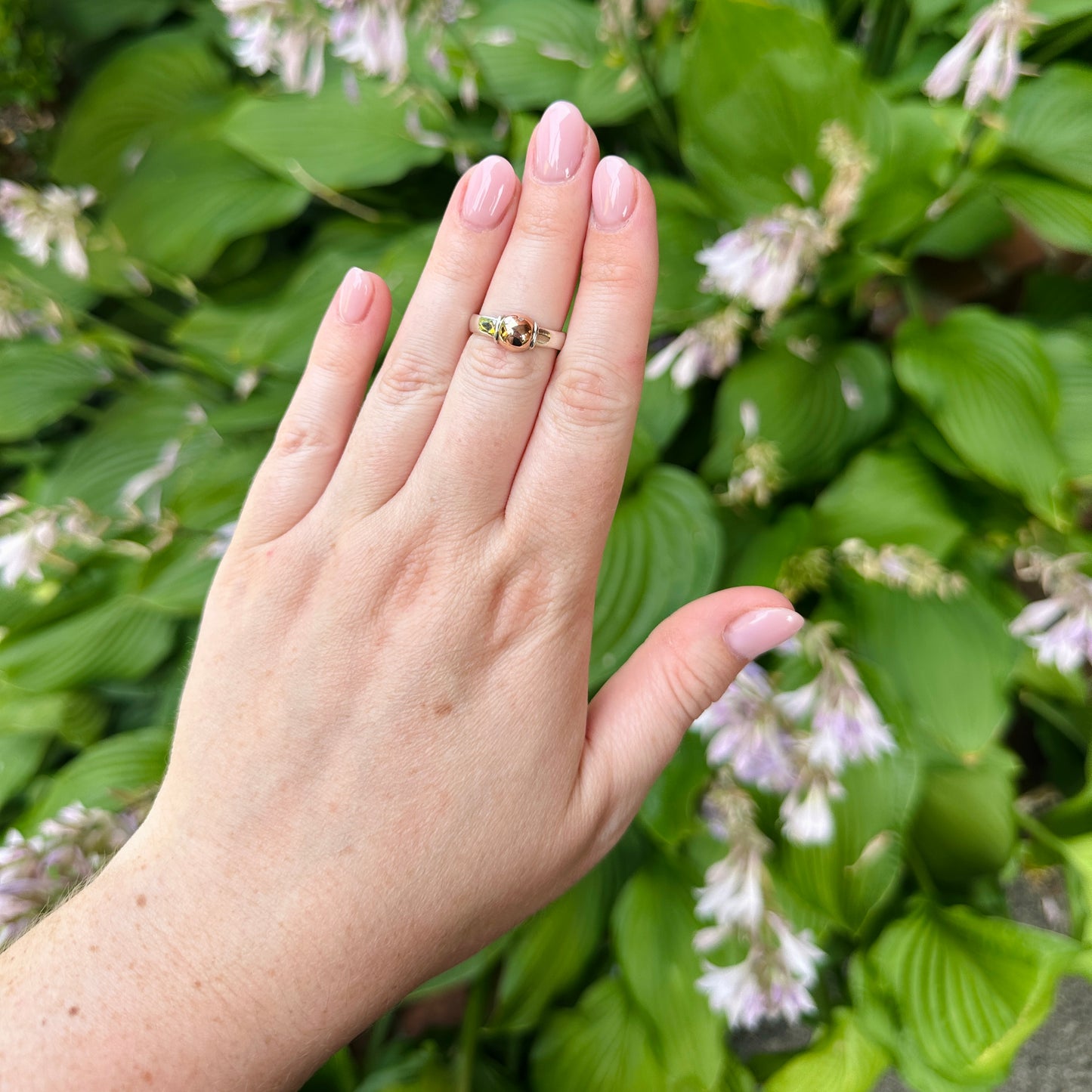 SS/RG Bead Ring RF5405-7