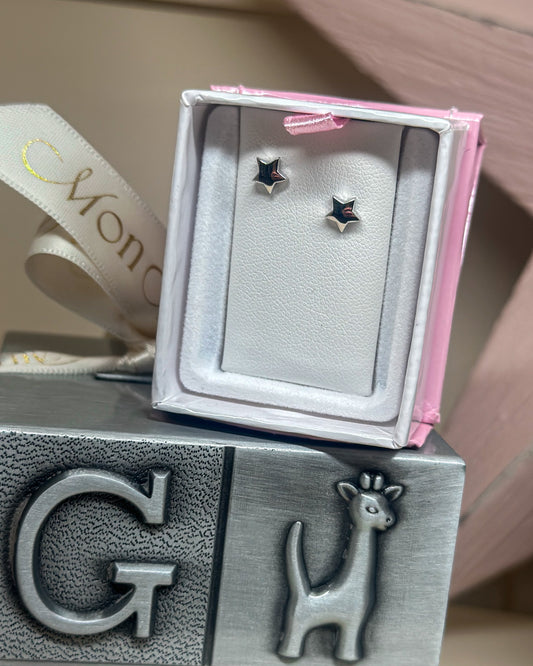 SS Domed Star Earring ES508