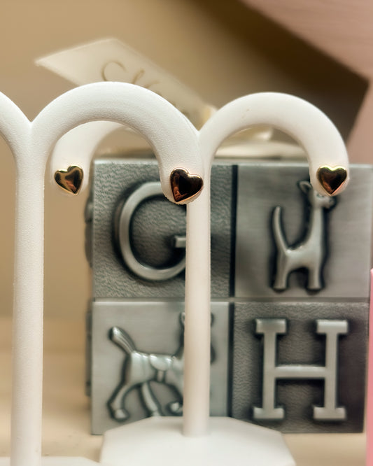 14kY Heart Earring GE220