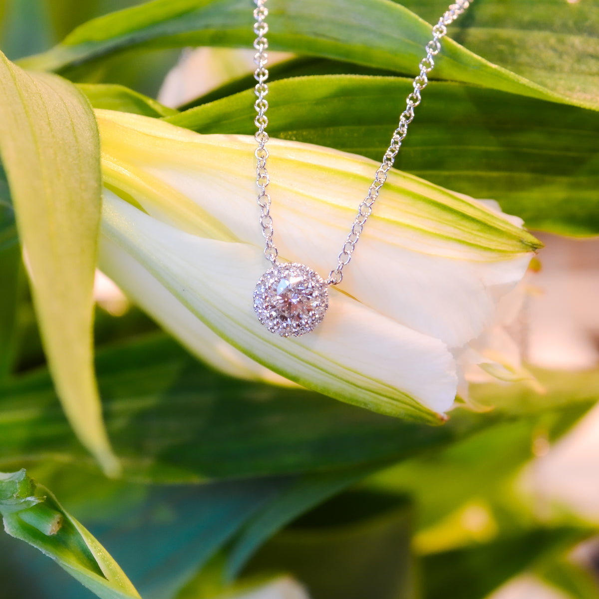 14kW .42cttw Diamond Halo Necklace SC55022483