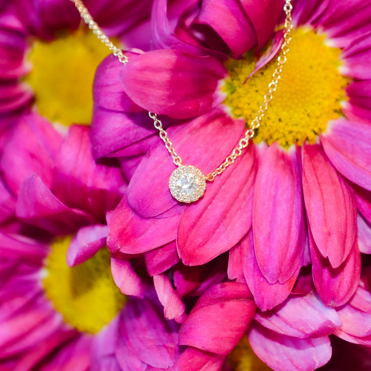 14kY .14cttw Diamond Halo Necklace SC55002696