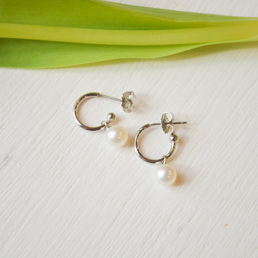 SS 6mm FWP Hoop 63/606FWP