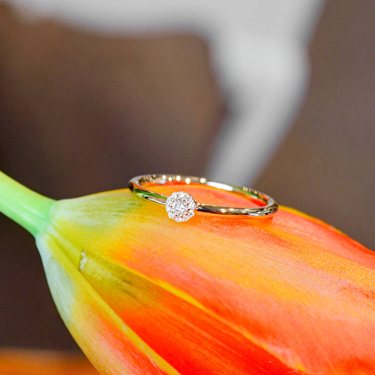 14kY .07cttw Diamond Halo Ring SC55002824-7