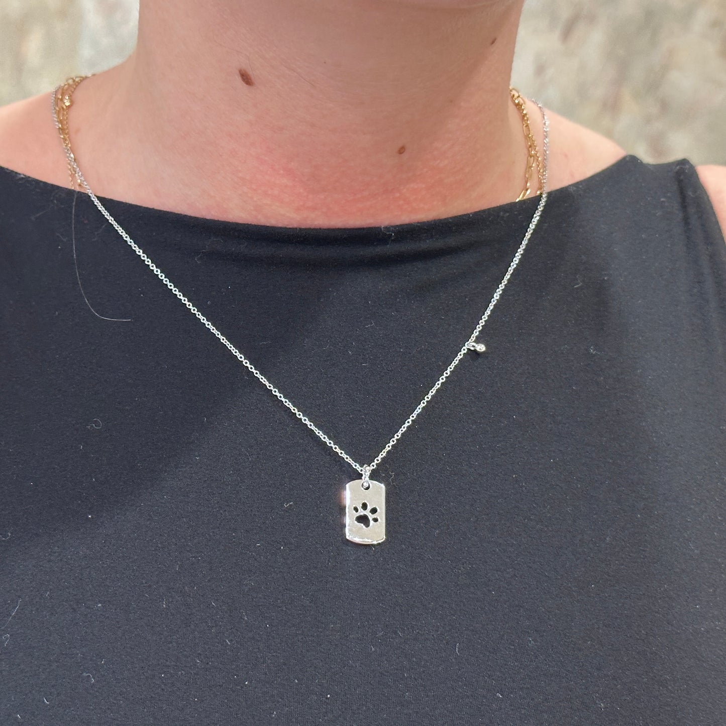 SS Dog Tag Paw Print Necklace NK7923SVJJJ