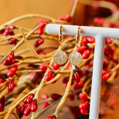 14kY .14cttw Diamond Disc Dangle Earring AE86300D-801Y