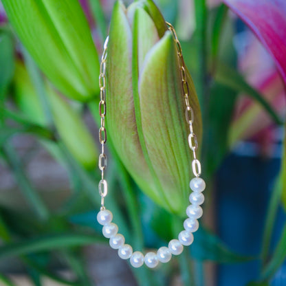 14kY Pearl Paperclip Bracelet SC55023493-7