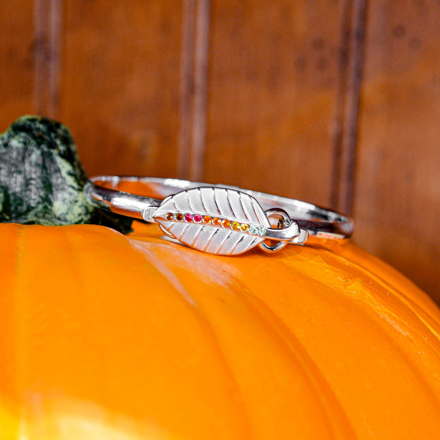 SS Gradient Leaf Clasp SB5957