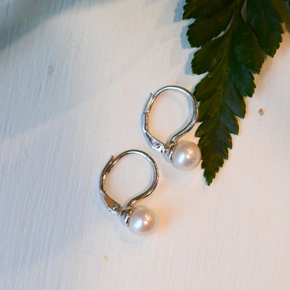 SS Pearl Leverback Earring EG14635SVJPB
