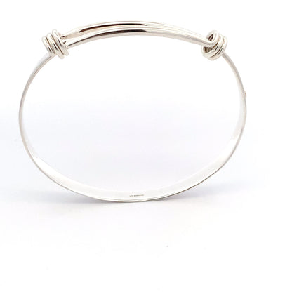 SS Signature w/ 1 Heart BR16712A-LM