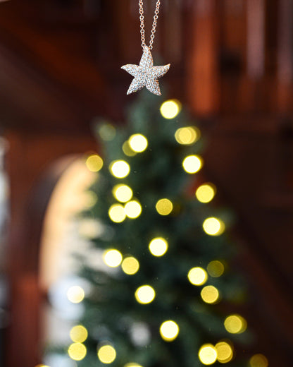 14kR .41ct Diamond Starfish Necklace NK4449K45JJ