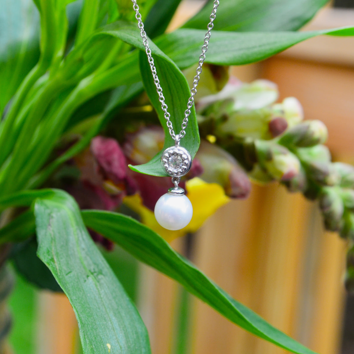 SS White Sapphire and Pearl Drop Necklace NK7108SVJMC