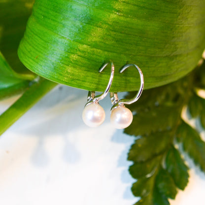 SS Pearl Leverback Earring EG14635SVJPB