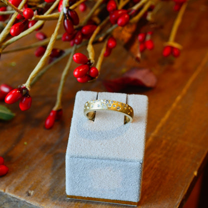 14kY .21cttw Diamond Flush Set Ring AA70114D-201Y