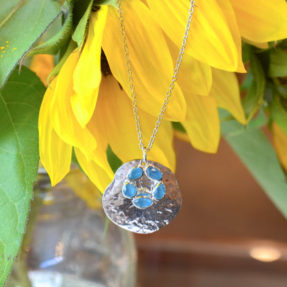 SS Apatite Flower Disc Necklace CL29 - 38/HAP