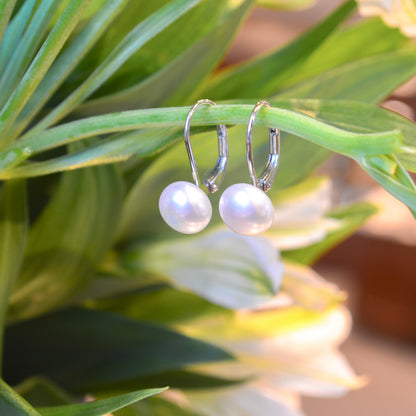 SS 8mm Pearl Earring SEU24TLPE