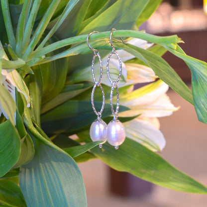 SS 8.5-9mm Freshwater Pearl Earring 627881/FW