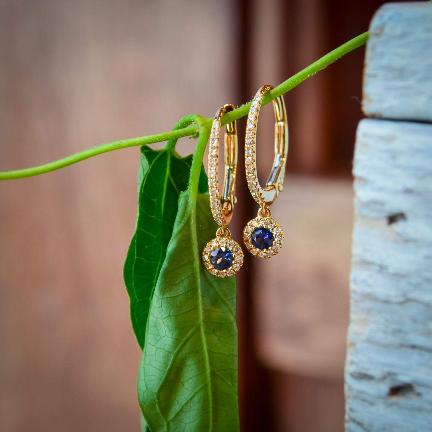 14kY .23cttw Sapphire & .15cttw Diamond Earring SC55007519