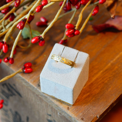 14kY .21cttw Diamond Flush Set Ring AA70114D-201Y