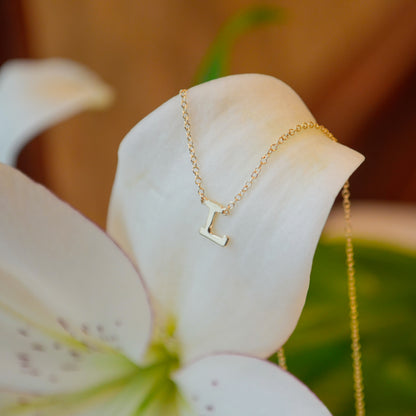 14kY "L" Initial Necklace NK6928L-Y4JJJ - 17.5