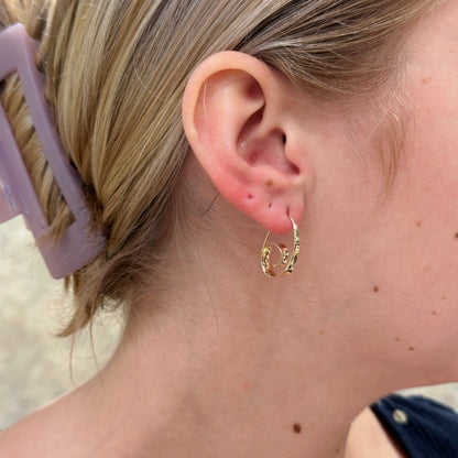 SS Curly-Q Earring EA96112
