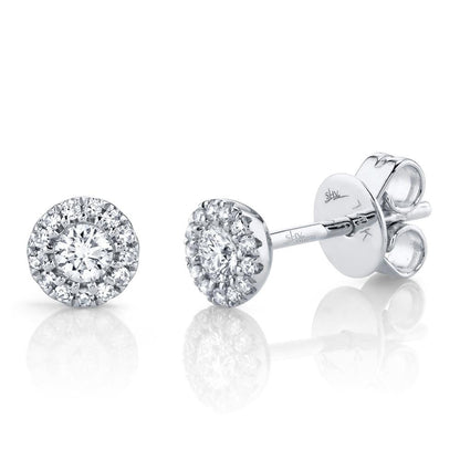14kW .24cttw Diamond Halo Stud SC55002599
